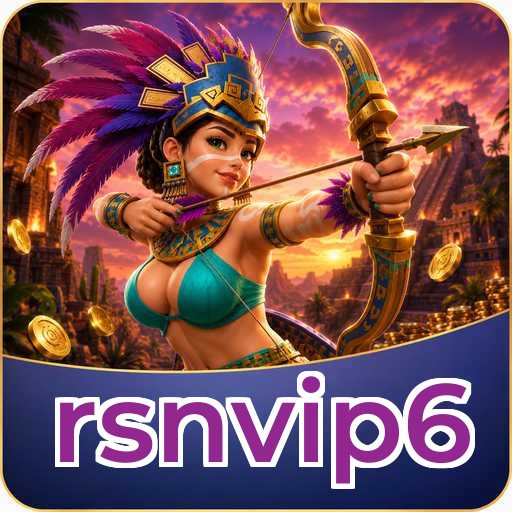 rsnvip6 APK Structure